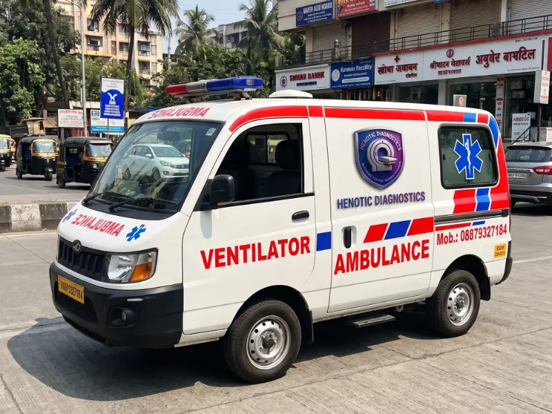 Stretcher ambulance crew helping a bedridden patient